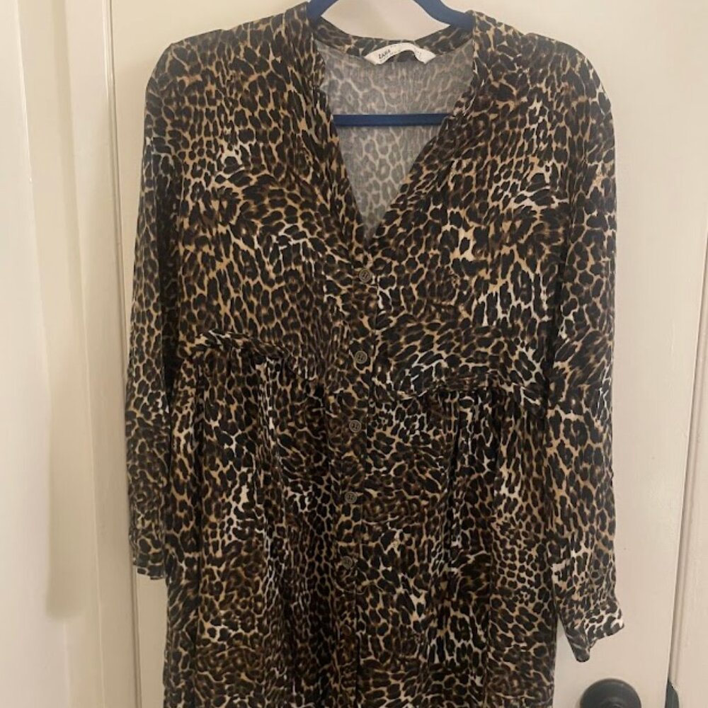 Leopard Print Dress Zara